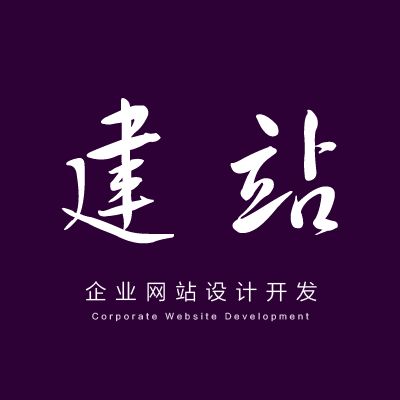 企業(yè)網(wǎng)站設計開發(fā).jpg