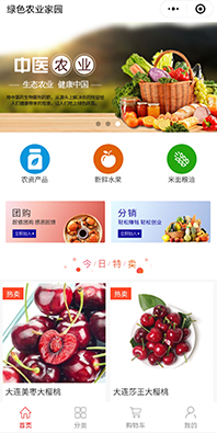 團(tuán)購(gòu)分銷商城小程序開發(fā)
